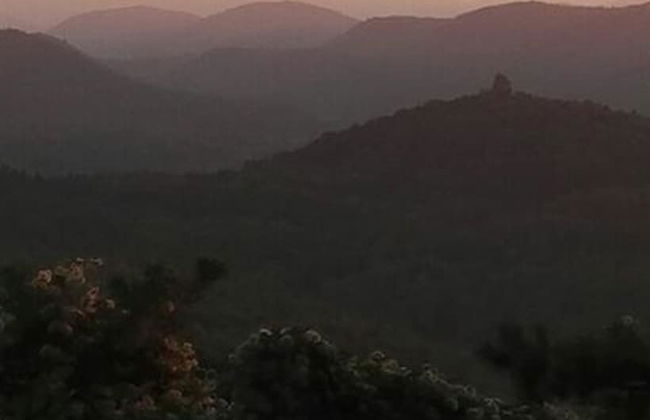 Holiday Apartment at the Linden Tree - Foto 7