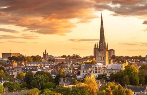 Relaxing retreat near Norfolk Broads - Foto 11