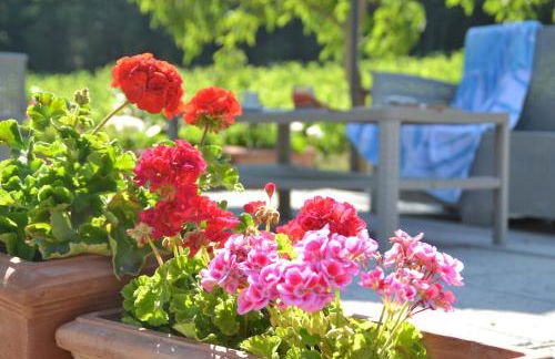 Podere Vignola - Foto 10