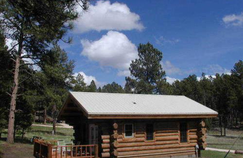 Renegade Log Cabin - Foto 3