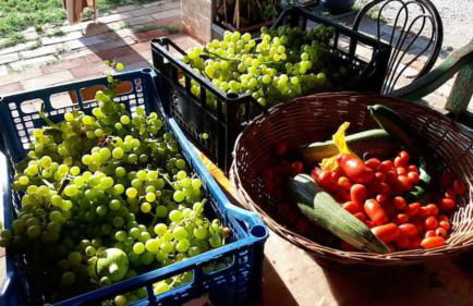 Domus Giò Giò - Foto 24