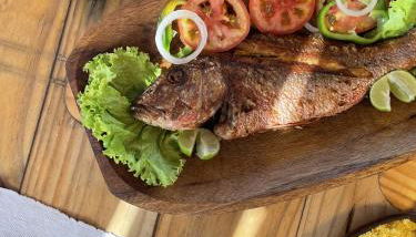 Pousada Estrela Peroba - Foto 5