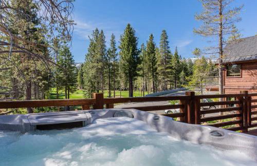 Gray Bear 514 - Foto 35