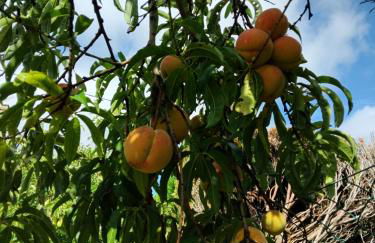 Appartement 4 ou 2 Parking Wifi Terrasse cosy - Foto 24