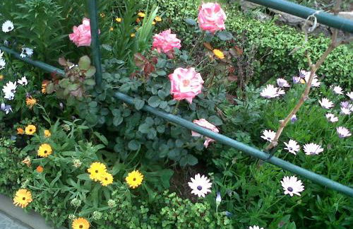 Cueva Sasha - Foto 21