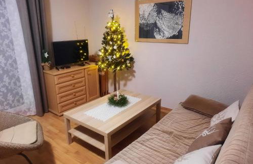 Domki Pod Jesionami - Foto 7