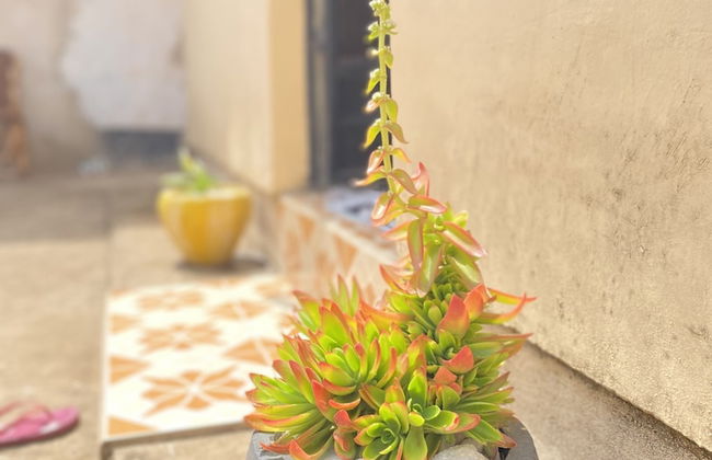 Cozy Studio Apartment - Foto 21