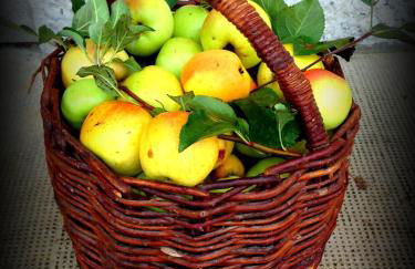 Agriturismo Borgovecchio - Foto 23