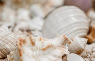 Oasis Resort - Foto 67