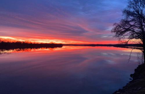 Paw Paw Tree Estate - Foto 7