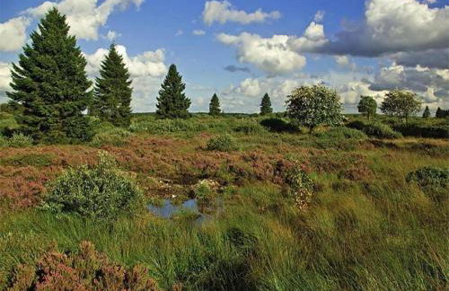 Eifel Garden Hideaway - Foto 69