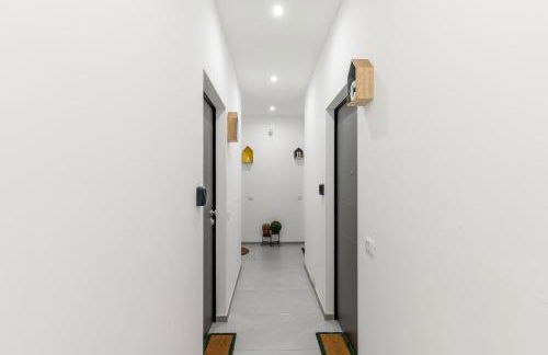 Baroni D - FREE private parking and A-C - Foto 3