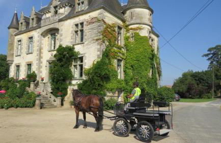 Gîte Relais du Doulay - Photo 47