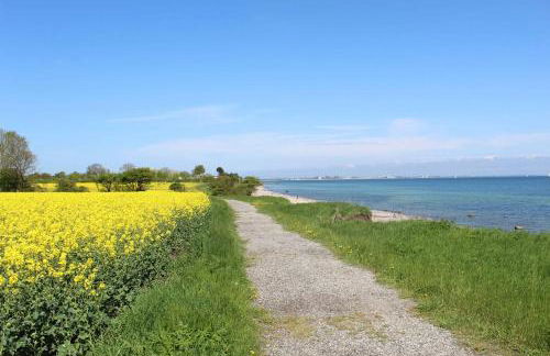 STRANDLIEBE 100 qm Gartenwohnung (eingezäunt), 15 Gehminuten zum Strand - Foto 51