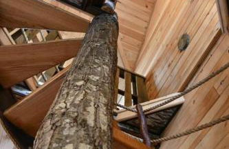 Treehouse in Maine woods- The Grand Oak - Foto 8