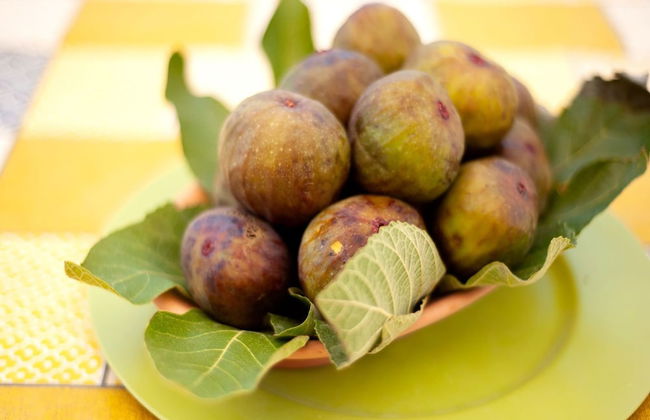 Beachside Getaway w/ Garden - Foto 22