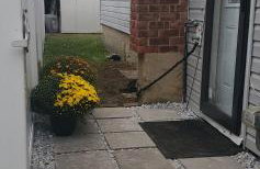 Eleg Stu Apt with Lux amnts steps frm Nautical Mile - Photo 33