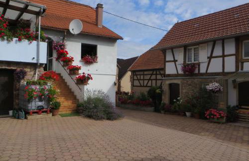 Location Alice - Photo 13