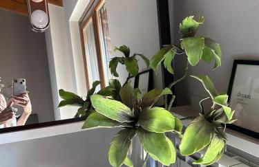 Interno 13 - Coffee, Wifi & Mxp - Foto 22