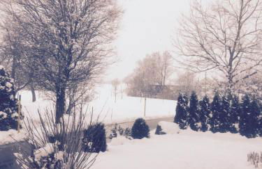 Ferienwohnung Wippenreute - Foto 11