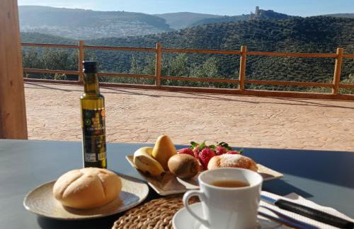 El Bujeo Montefrio - Foto 8