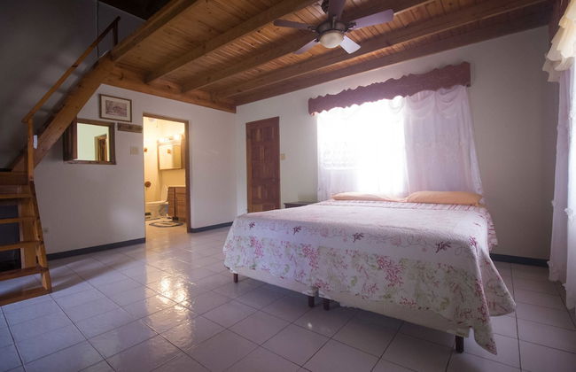 Rainbow Hill - Photo 5