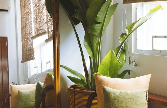 The Wander Nest - Foto 21