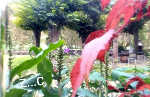 zentral club neutron-jacuzzi - Foto 29