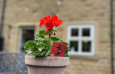 Olive Holiday Cottage Matlock - Foto 16