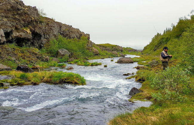 Svartaborg - Foto 29