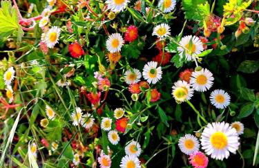 La Casa dell'Affinatore - Foto 6