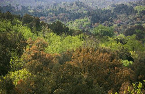 Finca El Zurrador - Foto 37