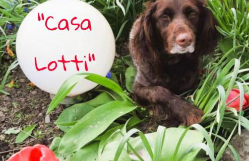 Casa Lotti - Foto 15