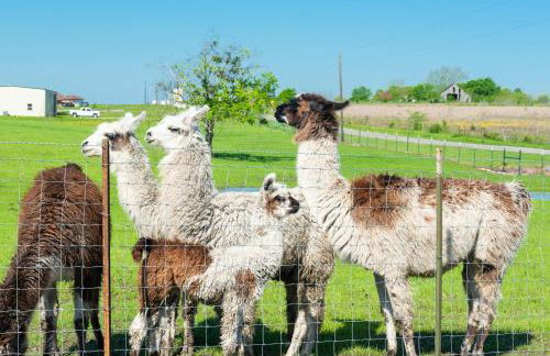 Silo House At Laughing Llama Farm - Foto 26