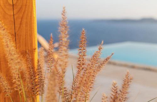 Birdhouse Private Luxury Villa - Romantic Couple Retreat - Foto 38