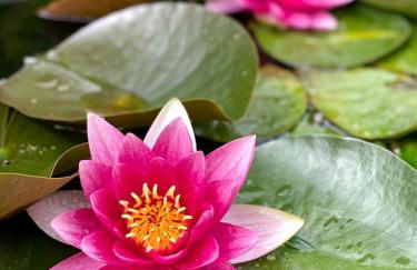 Rustic Log Cabin on Eco-Friendly Farm near Taos, New Mexico - Foto 50