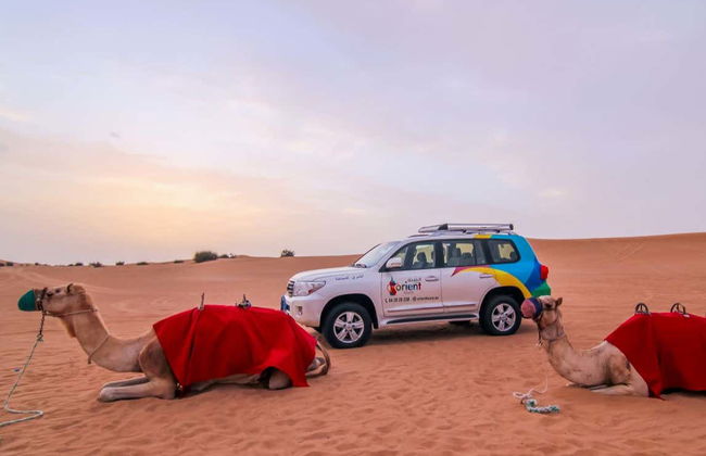 Day Trip to Ajman Desert - Foto 6