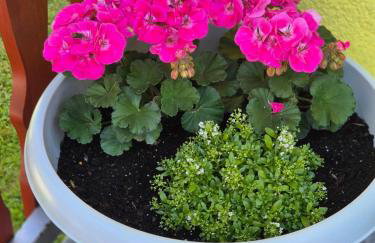 Apartment Slap - Foto 11