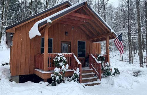 Cozy Three-Bedroom Cabin Near The Salmon River in Altmar, New York - Foto 18