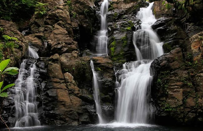 Taveuni Palms - Photo 51