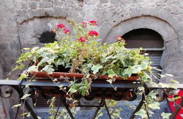 Alla cava Orvieto - Foto 14