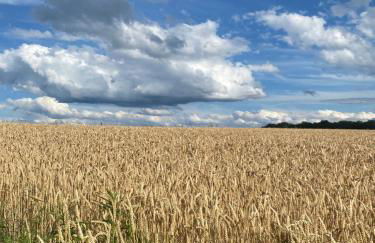 Ferienhaus Schott Prichsenstadt - Foto 46
