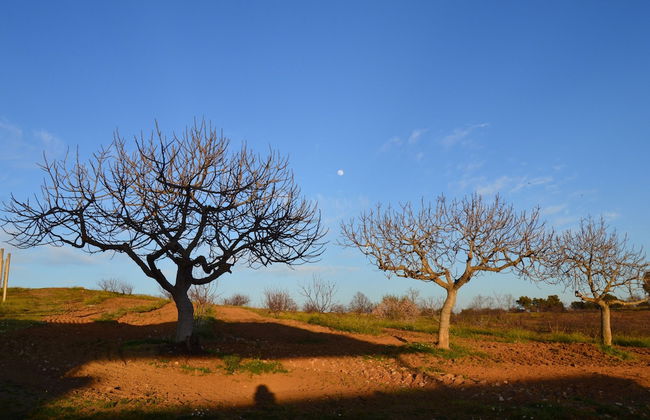 Casa Rural la Vallejera - Photo 37