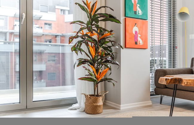 The Funky Apartment Free Parking - Foto 9