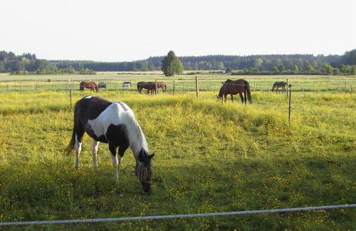 Casa Piedro - Foto 73