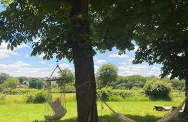 La vie calme - Foto 30