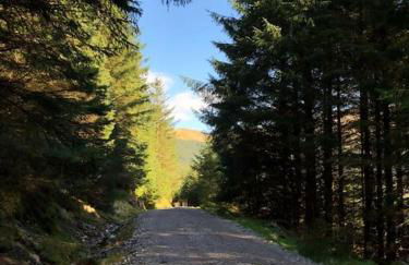 Squirrels Wood Lodge, nr Glencoe, dog friendly - Foto 39