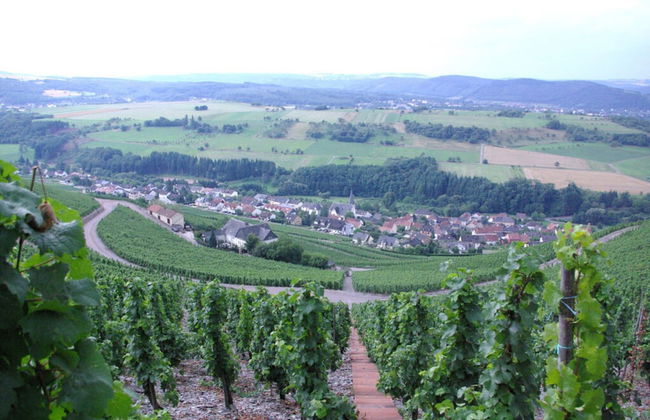 Holiday Apartment Magnolia - Photo 35