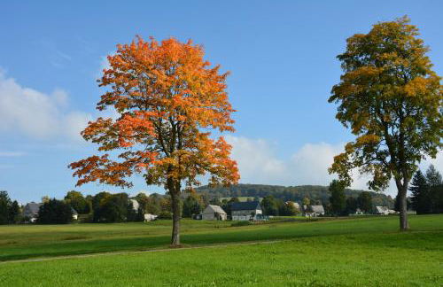 Verlegerhaus Seiffen - Foto 51