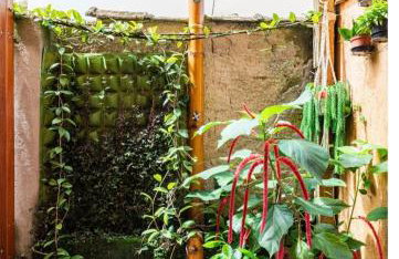 Estrada Real - Foto 12